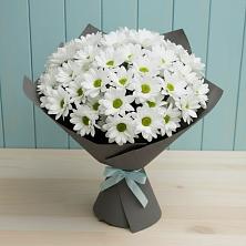 Букет цветов из:  Хризантемы в Сытьково