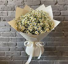 Букет цветов из:  Ромашки #REPLACE_PRED# Сытьково
