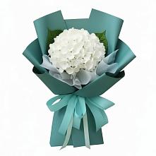 Букет цветов из:  Гортензия #REPLACE_PRED# Сытьково